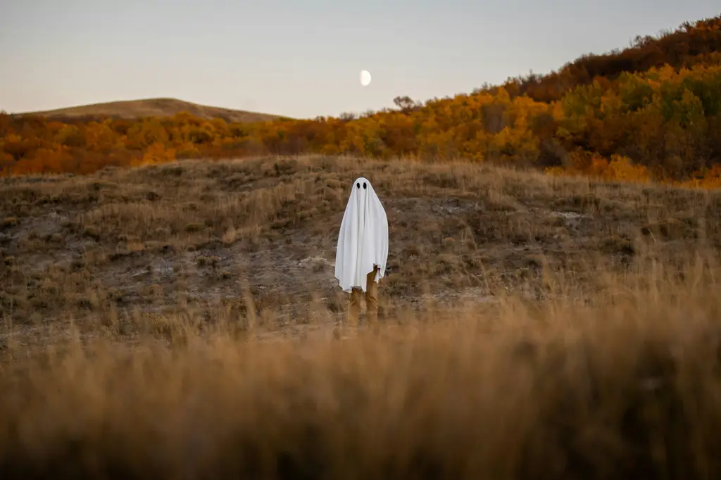 天秤座男喜歡一個人的表現