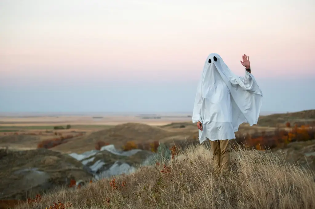 台灣星座配對指南：十二生肖與星座的絕配組合