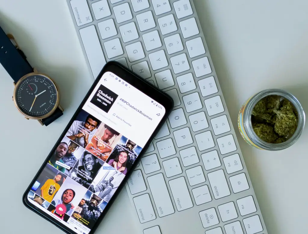 紫微斗數命主星：深入解析你與生俱來的能量與特質